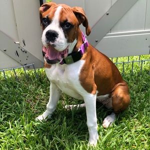 Meet your Posher, Jamie